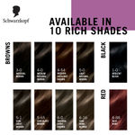 Buy Schwarzkopf Colour Specialist At Home Permanent Hair Colour - 5.0 Light Natural Brown, 165 ml - Purplle