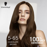 Buy Schwarzkopf Colour Specialist At Home Permanent Hair Colour - 5.65 Chocolate Brown, 165 ml - Purplle