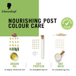 Buy Schwarzkopf Simply Colour Permanent Hair Colour For 100% Grey Coverage - 6.00 Light Brown, 142.5 ml - Purplle