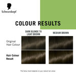 Buy Schwarzkopf Simply Colour Permanent Hair Colour For 100% Grey Coverage - 6.00 Light Brown, 142.5 ml - Purplle