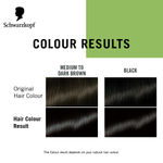 Buy Schwarzkopf Simply Colour Permanent Hair Colour For 100% Grey Coverage - 1.00 Natural Black, 142.5 ml - Purplle