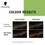 Buy Schwarzkopf Simply Colour Permanent Hair Colour For 100% Grey Coverage - 3.00 Dark Brown (142.5 ml) - Purplle