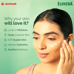 Buy Elovera Moisturising cream 150 gm | For Dry Skin | with Aloe Vera & Vitamin E | Protects, Nourishes and Repairs Skin | Paraben Free | Fragrance Free - Purplle
