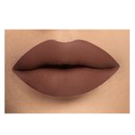 Buy Daily Life Forever52 Velvet Rose Matte Lipstick RS017 (2.5 gm) - Purplle