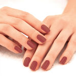 Buy Lakme 9to5 Primer + Gloss Nail Colour, Honey Love, 6 ml - Purplle