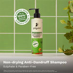 Buy Pilgrim Tea Tree Anti-Dandruff Shampoo with Salicylic Acid -Pack of 2|Up To 100% Dandruff Reduction|Sulphate & Paraben-Free|Itchy Scalp Relief|Hair Fall Control|200 ml Each - Purplle