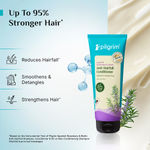 Buy Pilgrim Spanish Rosemary & Biotin Anti-Hairfall Shampoo & Conditioner Combo of 2 – Hair Strengthening & Fall Control – Pack of 2 (200ml Each) Haircare Kit - Purplle