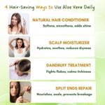 Buy Mystiq Living Pure Aloe Vera Gel (200 gm) Aloevera Gel For Face, Clear Gel, For Skin & Hair, Multipurpose Gel, Moisturizing Aloe Vera Gel, Acne Scar Gel - Purplle