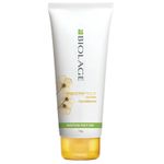 Buy Biolage Professional Smoothproof Anti-Frizz Conditioner, Up to 72HR Frizz Control, Conditioner for Dry and Frizzy Hair, With Camellia Flowers, 196 gm - Purplle
