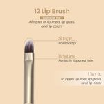 Buy Milagro Beauty Lip Brush 12, Multi-Use for Lip Liner, Lip Gloss, & Lip Color Application, 1 pc - Purplle