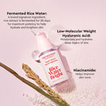 Buy The Face Shop Rice Water Vegan Serum (30 ml) - Purplle