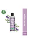 Buy Love Beauty Planet Argan Oil and Lavender Sulfate Free Smooth and Serene Shampoo (200 ml) + Hair Serum (50 ml) - Purplle