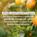 Buy Love Beauty Planet Curry Leaves, Biotin & Mandarin Sulfate Free Shampoo for long & strong hair, 200 ml - Purplle