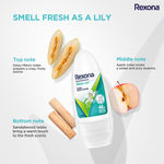 Buy Rexona Fresh Lily Underarm Roll On Deodorant For Women, 50ml - Purplle