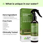 Buy AVIMEE HERBAL Rosemary Water For Hair Growth (200 ml) | Mist Spray for Hairfall | Rosemary Hair Mist | Adds Shine & Helps Reduce Hairfall, Strengthens Hair | For All Hair Types | For Men & Women - Purplle
