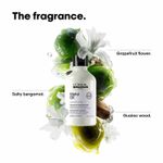 Buy L'Oreal Professionnel Metal DX Anti-Metal Sulfate-Free, Cleansing Cream Shampoo For Hair Breakage 300 ml - Purplle