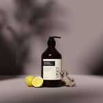 Buy Vinci Botanicals Ginger & Lime Body Cleanser 500 ml - Purplle