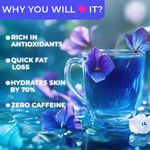 Buy Light Up Beauty Butterfly Pea Flower Tea | Farm Fresh, 100% Natural Herbal Tea | Caffeine-Free | Rich in Antioxidants, Boosts Collagen, Hydrates Skin, No Preservatives (Tea Bag - Pack of 30) - Purplle