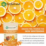 Buy Herbsland 100% Natural Orange Peel Powder - Brightens Skin & Controls Oil Naturally | 100 gm - Purplle