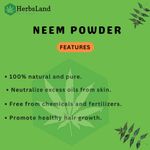 Buy Herbsland Pure Neem Leaf Powder - Natural Remedy For Acne, Dandruff & Skin Detox | 100 gm - Purplle