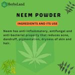 Buy Herbsland Pure Neem Leaf Powder - Natural Remedy For Acne, Dandruff & Skin Detox | 100 gm - Purplle