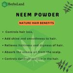 Buy Herbsland Pure Neem Leaf Powder - Natural Remedy For Acne, Dandruff & Skin Detox | 100 gm - Purplle