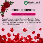 Buy Herbsland Pure Rose Petal Powder - Natural Skin Toner & Brightening Face Pack | Organic Skincare | Anti-Aging | 100 gm - Purplle
