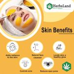 Buy Herbsland Lemon Peel Powder - Skin Whitening, Acne Treatment & Deep Cleansing | Vitamin C Face Mask | 100 gm - Purplle