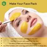 Buy Herbsland Wild Turmeric Powder - Skin Whitening, Anti-Aging & Healing Properties | Natural Remedy For Glowing Skin & Acne Treatment | Ayurvedic Face Pack | Organic Herbal Powder |100 gm - Purplle