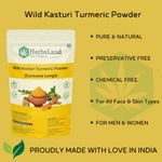 Buy Herbsland Wild Turmeric Powder - Skin Whitening, Anti-Aging & Healing Properties | Natural Remedy For Glowing Skin & Acne Treatment | Ayurvedic Face Pack | Organic Herbal Powder |100 gm - Purplle