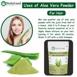 Buy Herbsland Pure Aloe Vera Powder - Skin Soothing, Hydrating & Anti-Aging | Organic Aloe Vera Face Pack |100 gm - Purplle