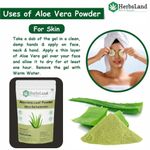 Buy Herbsland Pure Aloe Vera Powder - Skin Soothing, Hydrating & Anti-Aging | Organic Aloe Vera Face Pack |100 gm - Purplle