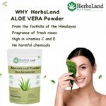 Buy Herbsland Pure Aloe Vera Powder - Skin Soothing, Hydrating & Anti-Aging | Organic Aloe Vera Face Pack |100 gm - Purplle
