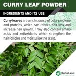 Buy Herbsland Pure Curry Leaf Powder - Natural Remedy For Hair Fall, Dandruff & Skin Brightening |100 gm - Purplle