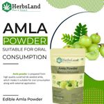 Buy Herbsland Amla Powder - Natural Skin Detox & Antioxidant Boost | Hair Growth, Skin Brightening & Immunity Boost | Organic Amla For Wellness | 100 gm - Purplle