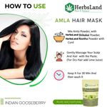 Buy Herbsland Amla Powder - Natural Skin Detox & Antioxidant Boost | Hair Growth, Skin Brightening & Immunity Boost | Organic Amla For Wellness | 100 gm - Purplle