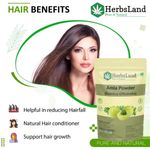 Buy Herbsland Amla Powder - Natural Skin Detox & Antioxidant Boost | Hair Growth, Skin Brightening & Immunity Boost | Organic Amla For Wellness | 100 gm - Purplle