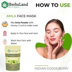 Buy Herbsland Amla Powder - Natural Skin Detox & Antioxidant Boost | Hair Growth, Skin Brightening & Immunity Boost | Organic Amla For Wellness | 100 gm - Purplle