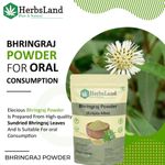Buy Herbsland Pure Bhringraj Powder - Natural Remedy For Hair Fall, Premature Greying & Healthy Scalp | Organic Hair Care | 100 gm - Purplle