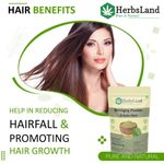 Buy Herbsland Pure Bhringraj Powder - Natural Remedy For Hair Fall, Premature Greying & Healthy Scalp | Organic Hair Care | 100 gm - Purplle