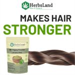 Buy Herbsland Pure Bhringraj Powder - Natural Remedy For Hair Fall, Premature Greying & Healthy Scalp | Organic Hair Care | 100 gm - Purplle