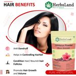 Buy Herbsland Hibiscus Powder - Strengthens Hair Roots, Promotes Growth & Enhances Shine | Organic Herbal Powder | 100 gm - Purplle