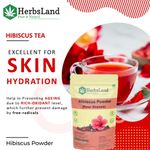 Buy Herbsland Hibiscus Powder - Strengthens Hair Roots, Promotes Growth & Enhances Shine | Organic Herbal Powder | 100 gm - Purplle