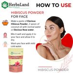 Buy Herbsland Hibiscus Powder - Strengthens Hair Roots, Promotes Growth & Enhances Shine | Organic Herbal Powder | 100 gm - Purplle