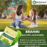 Buy Herbsland Brahmi Leaf Powder - 100% Natural For Hair Growth, Scalp Nourishment & Stress Relief | Organic Herbal Powder | 100 gm - Purplle