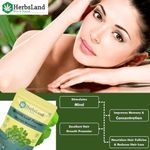 Buy Herbsland Brahmi Leaf Powder - 100% Natural For Hair Growth, Scalp Nourishment & Stress Relief | Organic Herbal Powder | 100 gm - Purplle