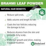 Buy Herbsland Brahmi Leaf Powder - 100% Natural For Hair Growth, Scalp Nourishment & Stress Relief | Organic Herbal Powder | 100 gm - Purplle