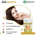 Buy Herbsland Pure Fenugreek (Dana Methi) Powder - Natural Remedy For Hair Fall, Healthy Scalp & Skin Glow | Organic Powder | 100 gm - Purplle