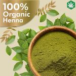 Buy Herbsland Black Henna (Mehendi) Powder - Organic Hair Color For Deep Black Tone, Nourishment & Conditioning |100 gm - Purplle