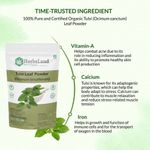 Buy Herbsland Tulsi Leaf Powder - 100% Natural For Skin Purification, Acne Control & Hair Care | Organic Herbal Powder |100 gm - Purplle